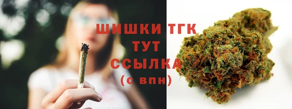 spice Абинск