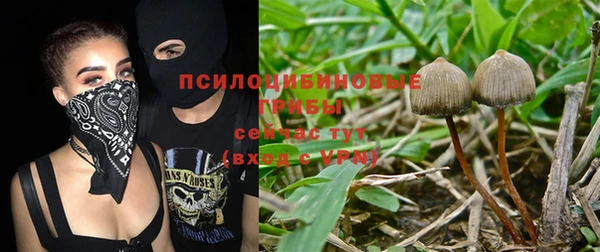 2c-b Алзамай