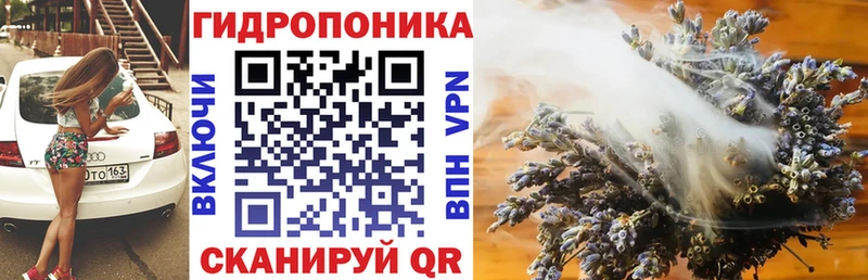 Шишки марихуана семена  Орлов 